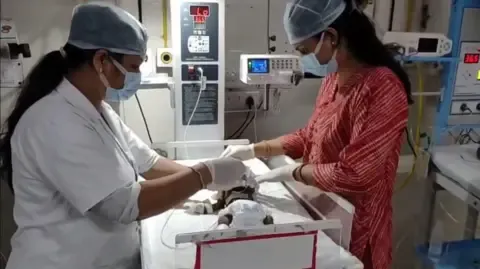 Infant Placed Alive in India Struggles for Existence