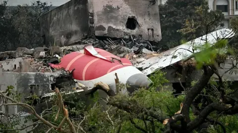 Families of the Air India crash passengers sue aviation firms the manufacturers